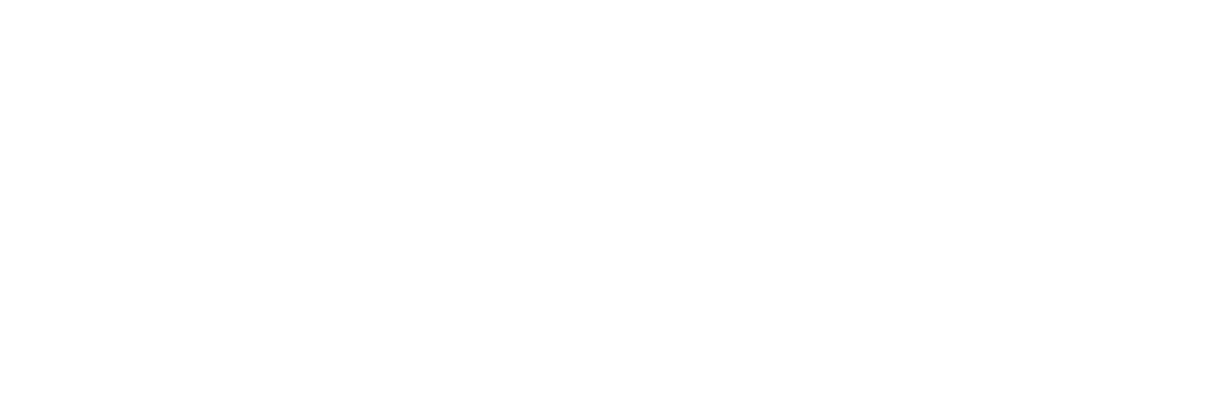 Logo Paulina Grunwald blanc